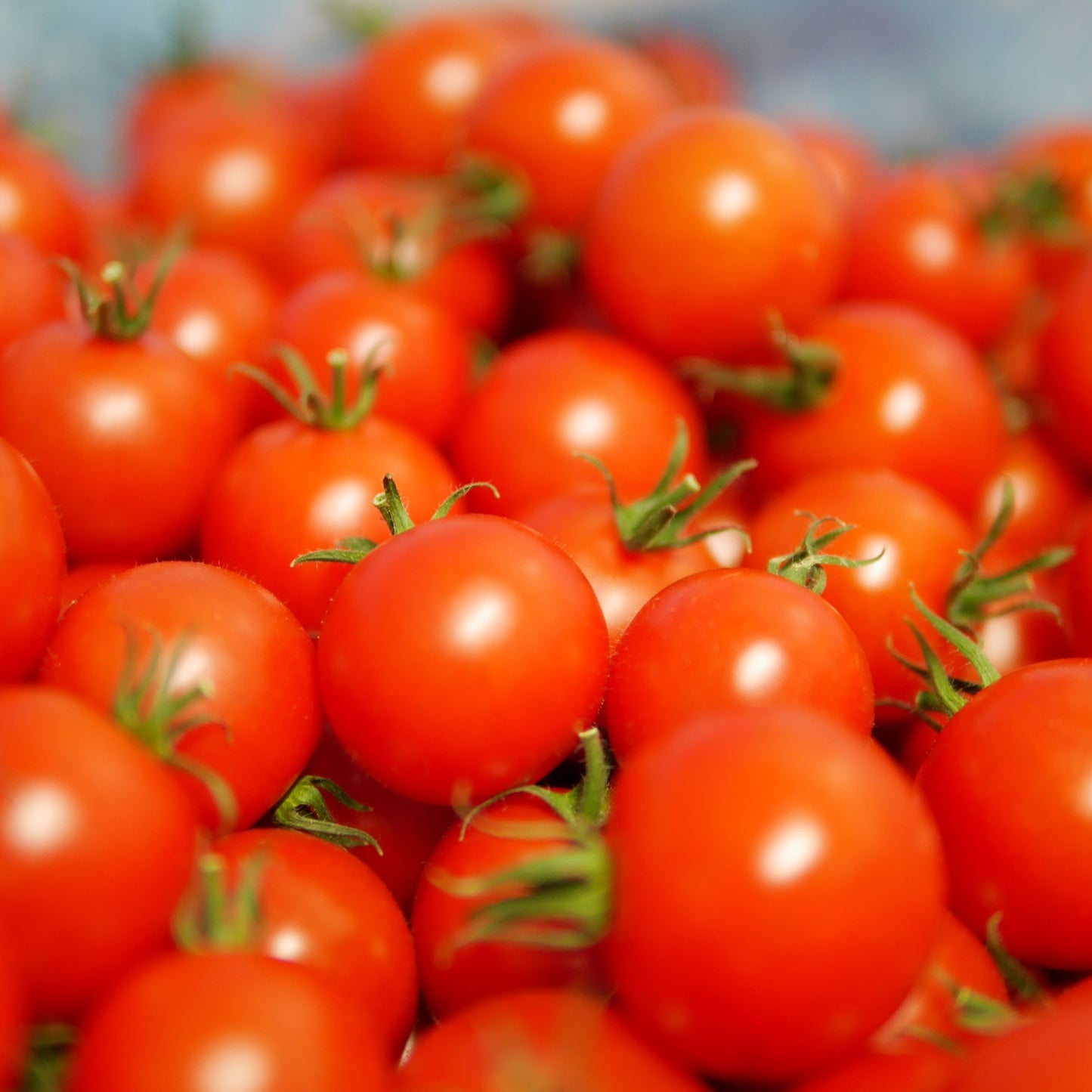 Nagaraハンディスープ フルーツトマトのガスパチョ 5個セット（組み合わせ固定）